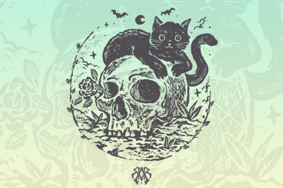 The Cute Black Cat the Skull